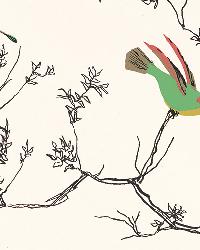 BIRDS & BUTTERFLIES MULTI ON WHITE by  Schumacher Wallpaper 