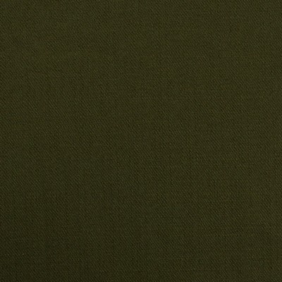 Mitchell Fabrics Prairie Evergreen in 1801 Green Multipurpose Polyester Heavy Duty  Fabric