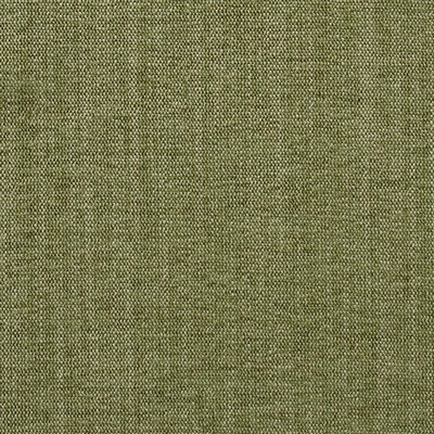 Mitchell Fabrics District Fern in 1802 Green Multipurpose Polyester4%  Blend Heavy Duty  Fabric
