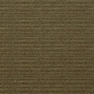 Mitchell Fabrics Corvus Olive in 1803 Green Multipurpose Polyester  Blend Heavy Duty  Fabric