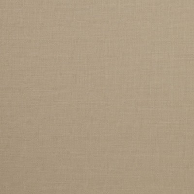 Mitchell Fabrics Boden Morsel in 1803 White Multipurpose Viscose  Blend Light Duty  Fabric
