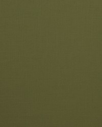 Mitchell Fabrics Boden Green Fabric