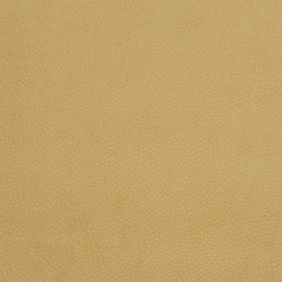 Mitchell Fabrics Alcott Sun in 1806 Yellow Multipurpose Polyester Fire Rated Fabric High Performance CA 117   Fabric