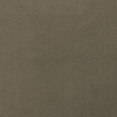 Mitchell Fabrics Harlem Mink in 1812 Black Multipurpose Polyester High Performance Solid Velvet   Fabric