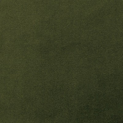 Mitchell Fabrics Harlem Olivine in 1812 Green Multipurpose Polyester High Performance Solid Velvet   Fabric