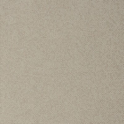 Mitchell Fabrics Catrell Eggshell in 1813 Beige Multipurpose Polyester Fire Rated Fabric Crypton Texture Solid  Heavy Duty CA 117   Fabric