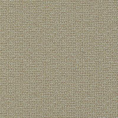 Mitchell Fabrics Madeira Sandstone in 1817 Grey Multipurpose Polypropylene Heavy Duty Outdoor Textures and Patterns  Fabric