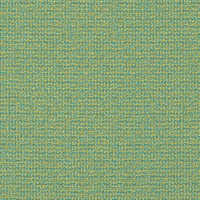 Mitchell Fabrics Madeira Caribe in 1817 Green Multipurpose Polypropylene Heavy Duty Outdoor Textures and Patterns  Fabric