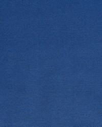 Quack Quack Dark Blue by  Mitchell Fabrics 