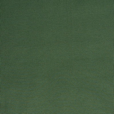Mitchell Fabrics Quack Quack Forest in 2107 Green Multipurpose Cotton  Blend Duck  Heavy Duty Solid Green   Fabric