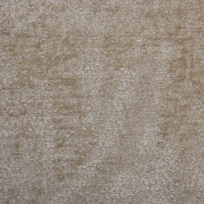 Mitchell Fabrics Heavenly Camel in 2101 Beige Upholstery Polyester Crypton Texture Solid  Heavy Duty Solid Beige   Fabric