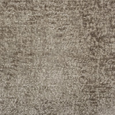 Mitchell Fabrics Heavenly Mushroom in 2101 Brown Upholstery Polyester Crypton Texture Solid  Heavy Duty Solid Brown   Fabric