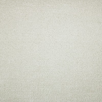 Mitchell Fabrics Jameson Linen in 2101 Beige Upholstery Polyester Crypton Texture Solid  Heavy Duty Solid Beige   Fabric