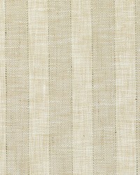 Clarkstreet Bamboo by   