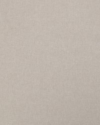 Evolved Eggshell by  Telafina 