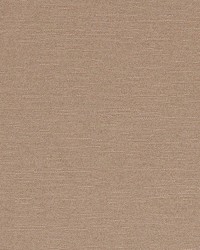 Celestial Birch by  Waverly 