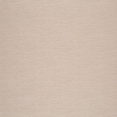 Mitchell Fabrics Lunar Champagne 2306 FF-2306-31 Beige Drapery Polyester Polyester Striped  Fabric