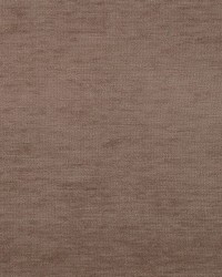 Braydon Fawn by  Kasmir 