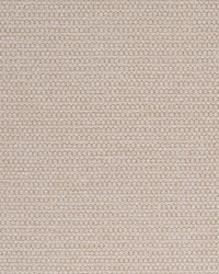 Sampson Birch by  Kasmir 