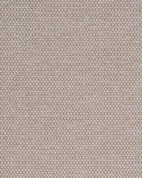 Sampson Buckwheat by  Kasmir 