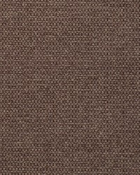 Sampson Cappuccino by  Kasmir 