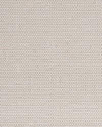 Sampson Cream by  Kasmir 