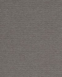 Sampson Grey by  Kasmir 