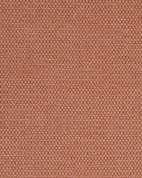 Sampson Pale Pink by  Kasmir 