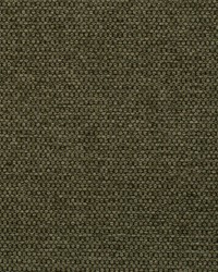 Sampson Turtle by  Kasmir 