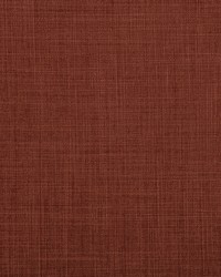 Barrier Russet by  Michaels Textiles 