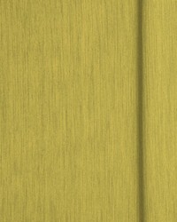 Lyric Lime by  Michaels Textiles 