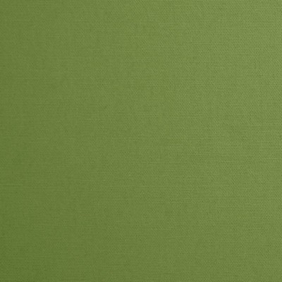 Mitchell Fabrics Daffy Basil in 1425 Green Duck   Fabric