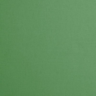 Mitchell Fabrics Daffy Cypress in 1425 Green Duck   Fabric