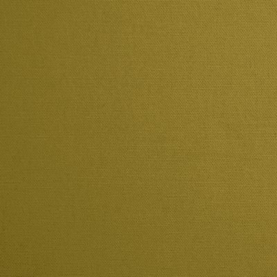Mitchell Fabrics Daffy Grass in 1425 Green Duck   Fabric