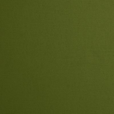 Mitchell Fabrics Daffy Lime in 1425 Green Duck   Fabric