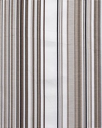 Stripe Mania Bright Beige by  Scalamandre 