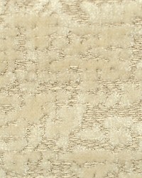 Paradise Velvet Light Cream Gray by  Scalamandre 