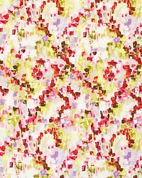 Rainforest Colorfulness Print by  Scalamandre 