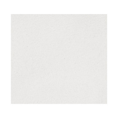 Scalamandre Thara White ALMA LUSA A9 00017690 White Upholstery POLYESTER POLYESTER