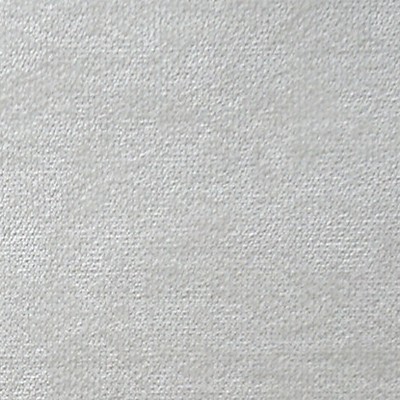 Scalamandre Expert Egret ALMA LUSA A9 00017700 Upholstery POLYESTER POLYESTER