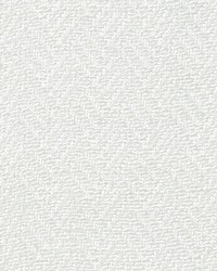 Sally White by  Scalamandre 