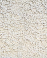 Dolly Wild White by  Waverly 