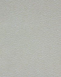 Pulp Astrakan Milky White by  Waverly 