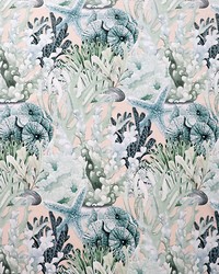 Sealife Velvet Aqua Mist by   