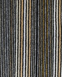 Pinstripe Velvet York Gold by   