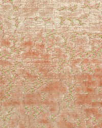 Paradise Velvet Paradise Coral by  Scalamandre 