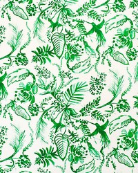 Hummingbird Paradise Green by  Scalamandre 
