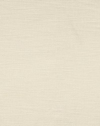 Activator Double Face Fr Ivory by   