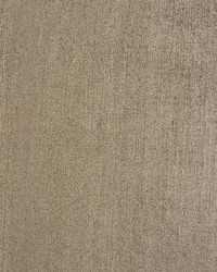 Resistance Easy Clean Fr Light Camel by   