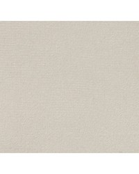 Thara Birch by  Scalamandre 